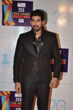 at Zee Awards red carpet in Mumbai on 6th Jan 2013 (44).JPG